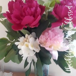 Meet your Posher, Sandra